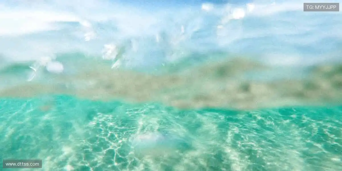 ⚽️赛事预告，提前锁定！📅